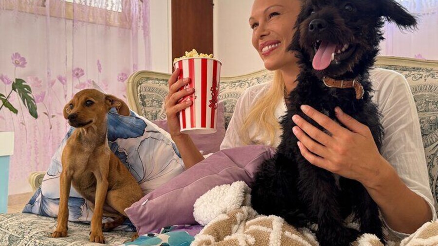 Puppies and Movies: A Feel-Good Film Night with Rescue Pups