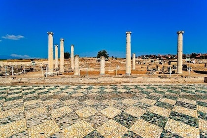 Ancient Macedonia Private Tour Pella Vergina and Dion