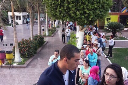 Cairo Night Walking Tour , Horse carriage And Cairo Tower