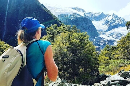 Rob Roy Glacier Guided Walk