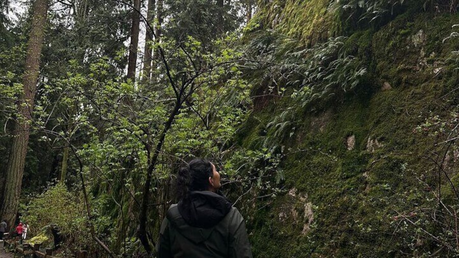Whytecliff Park Indigenous Salish Sea Walking Tour