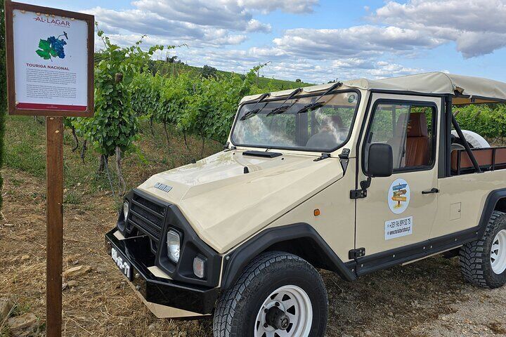 Jeep Tour - Tavira, Santa Luzia & Wine Tasting