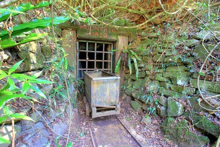 Copeland Tops National Park: Mountain Maid Gold Mine Tour