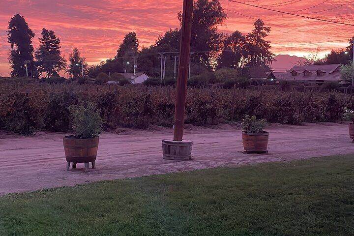 Legacy Family Tour Lunch or Dinner Pairing 4 Strokes