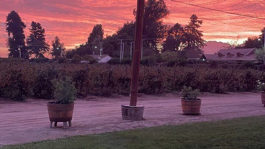 Legacy Family Tour Lunch or Dinner Pairing 4 Strokes