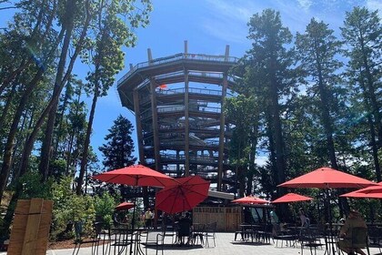 Victoria Day trip with Butchart Garden and Malahat Skywalk