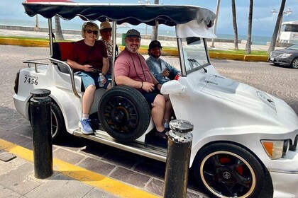 Mazatlan Pulmonia Experience