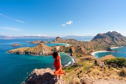Private Shore Tour Komodo Dragons & Island Adventure
