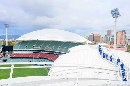 Adelaide: Takklättringsupplevelse av Adelaide Oval