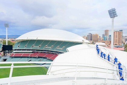 Adelaide: Rooftop Climbing Experience van de Adelaide Oval