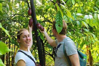 Half day Tour with Cai Rang Floating Market Cacao and Small Canal