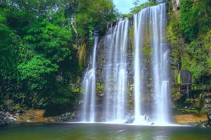 Sloth And Waterfall Tour Llanos Del Cortez