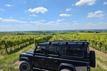 Cognac tour of the vineyard and visit/tasting at a winemaker