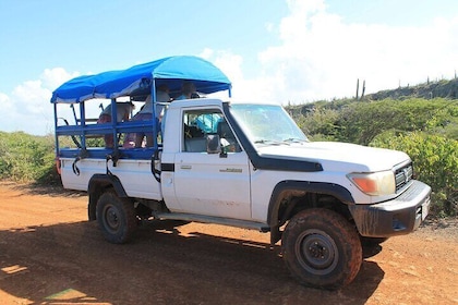 All West Beach Hopping Tour