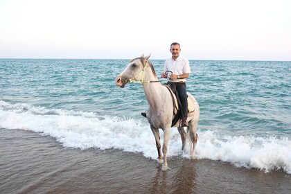 Horseback Riding on the Beach and through the Forest