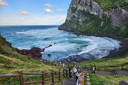 Jeju Private Taxi Tour with a Licensed English Guide-Driver