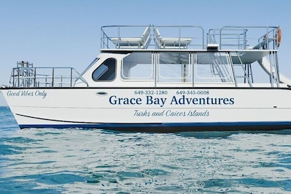 Group Catamaran 4 hr tour coral reef fun Iguana island adventure!