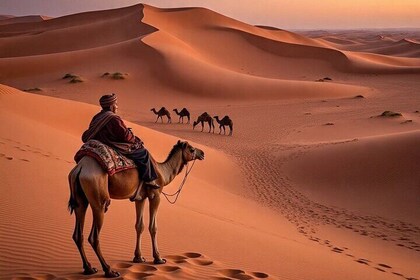 4 Day Desert Adventure Fes to Erg Chebbi and Marrakech