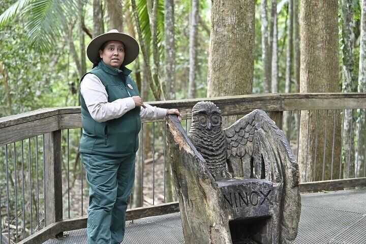 Sea Acres National Park: Aboriginal cultural tour 