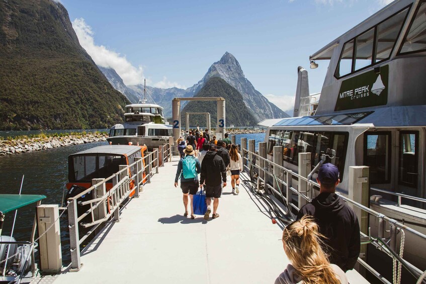 Picture 1 for Activity Milford Sound: 2-Hour Small Boat Scenic Cruise