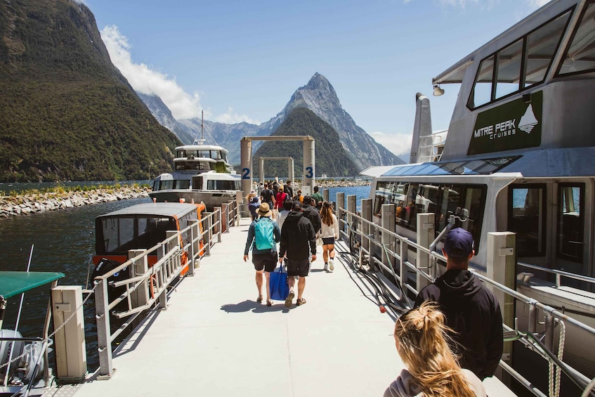 Picture 1 for Activity Milford Sound: 2-Hour Small Boat Scenic Cruise