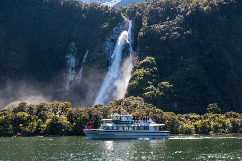 Picture 3 for Activity Milford Sound: 2-Hour Small Boat Scenic Cruise