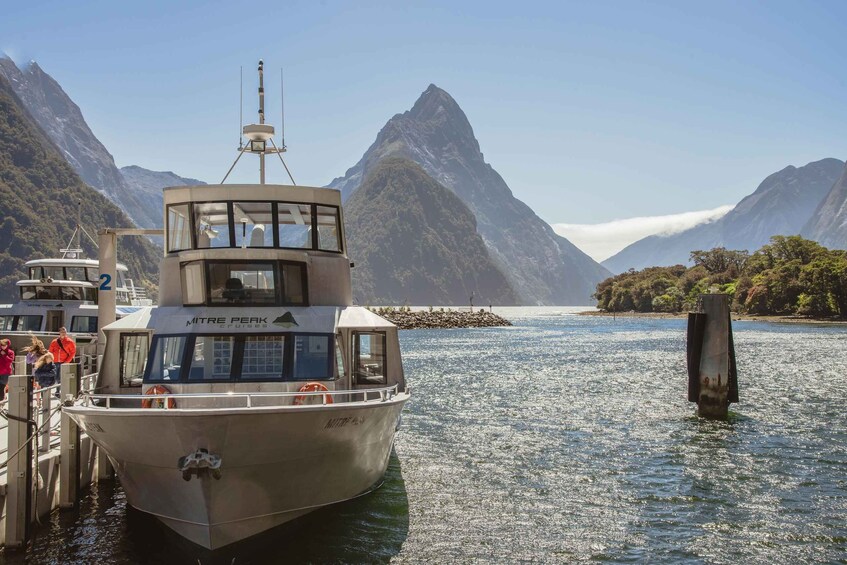 Picture 6 for Activity Milford Sound: 2-Hour Small Boat Scenic Cruise