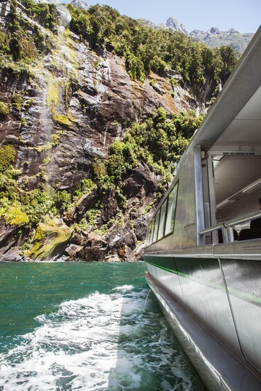Picture 5 for Activity Milford Sound: 2-Hour Small Boat Scenic Cruise