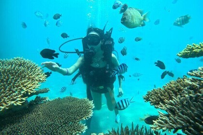 Nha Trang Diving to Grow Corals