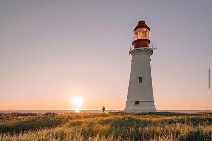 City and Coastal Highlights Museum and Lighthouse Stops Tour