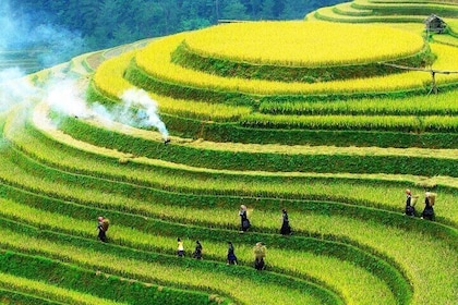 Sapa Scenic Valley Experience: Muong Hoa & Ta Van (Easy Walk)