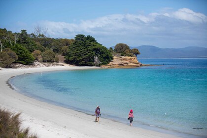 Hobart: Maria Island National Park Aktiv Ganztagestour