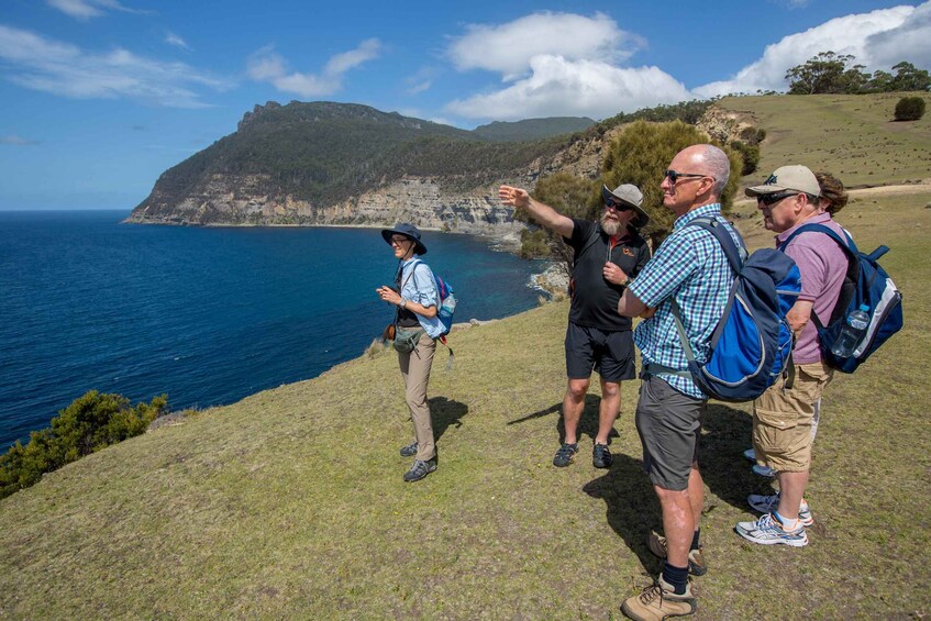 Picture 6 for Activity Hobart: Maria Island National Park Active Full-Day Tour