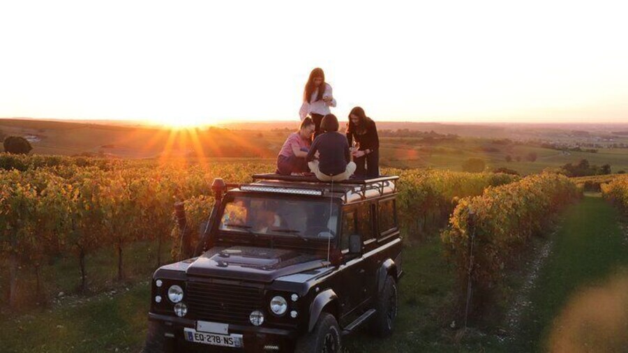 Cognac Discovery of the vineyard in 4x4