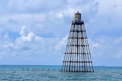 Eco Conscious Reef Diving with Southpoint Divers