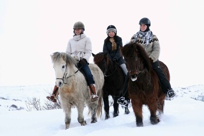 Depuis Reykjavík : Randonnée à cheval en Islande dans les champs de lave