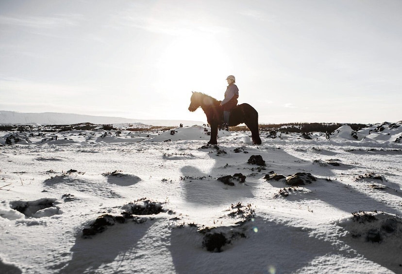 Picture 4 for Activity From Reykjavík: Icelandic Horse Riding Tour in Lava Fields