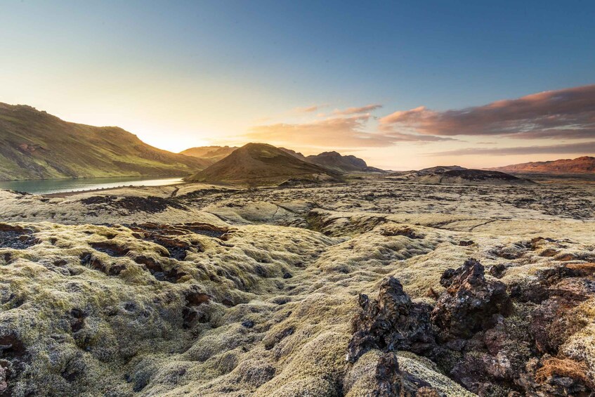 Picture 6 for Activity From Reykjavík: Icelandic Horse Riding Tour in Lava Fields