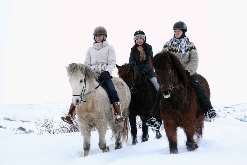 Picture 1 for Activity From Reykjavík: Icelandic Horse Riding Tour in Lava Fields