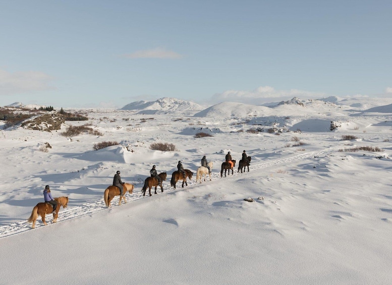 Picture 2 for Activity From Reykjavík: Icelandic Horse Riding Tour in Lava Fields