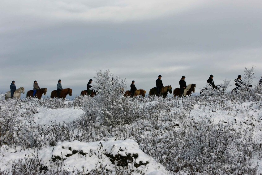 Picture 2 for Activity From Reykjavík: Icelandic Horse Riding Tour in Lava Fields