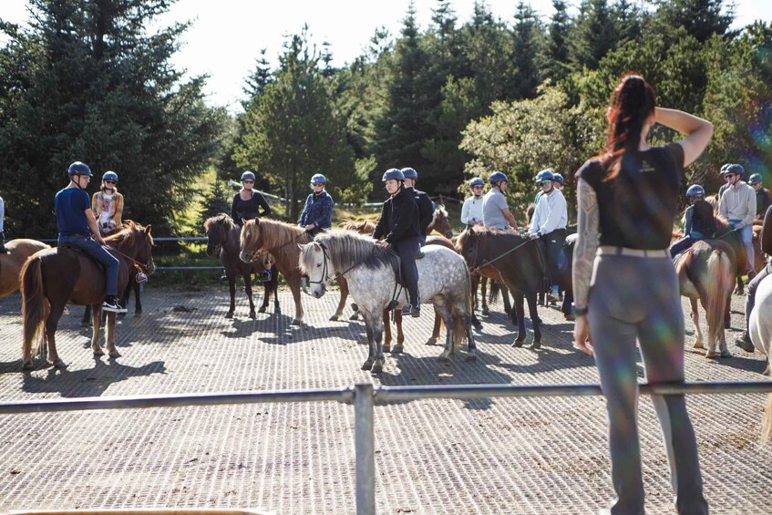 Picture 8 for Activity From Reykjavík: Icelandic Horse Riding Tour in Lava Fields