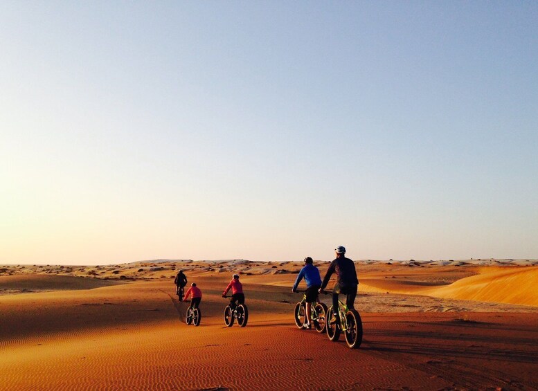 Picture 3 for Activity Swakopmund: Scenic Desert Bike Tour