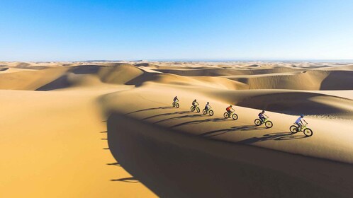 Swakopmund: Scenic Desert Bike Tour