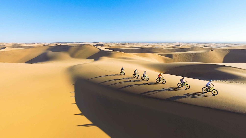 Swakopmund: Scenic Desert Bike Tour