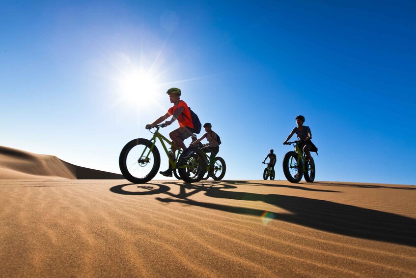 Picture 1 for Activity Swakopmund: Scenic Desert Bike Tour