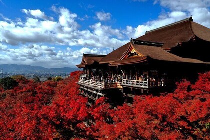 1 Day Kyoto UNESCO World Heritage Sites Bus Tour