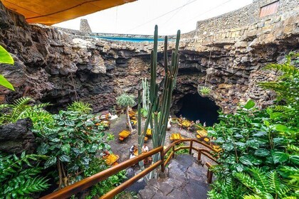 North Lanzarote Private Tour: Caves, Viewpoints & Villages