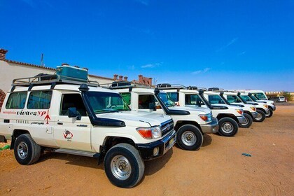 Viva Safari Quad, Spider Car, Dinner and Show