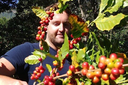 Coffee Walk Tour in San Juan La Laguna